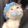 再如初的头像