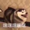卡布奇丶土豆的头像