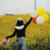 Z.M.L的头像
