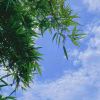 做好自己！的头像