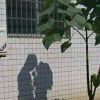 Promise丶的头像
