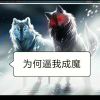 心  在  流  血的头像