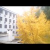 Fanger花艺轩🎀的头像