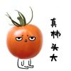 汏蕾的头像