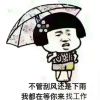 随缘的头像