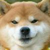 沐亚的头像