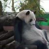 没有意义的头像