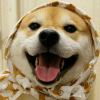 Who＇s  that的头像