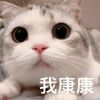 和梅的头像