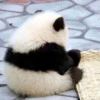 习习的头像