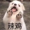 书友777002552的头像