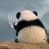 煙消雲散i的头像