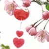 ご殇ぜ蕝ゞ...的头像
