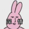 零果果的头像
