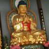 尴尬的头像