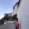 梦随风飞的头像