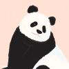 Lily离欢的头像
