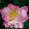 夜灯下的故事的头像
