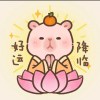 花开終敗落的头像