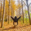 《   放荡不羁   》的头像