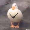 苟\活的头像