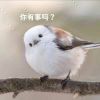 人间有味是清欢的头像