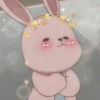 书友867556025的头像