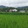 萧茉的头像