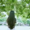流年的头像