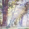 九夏三冬的头像