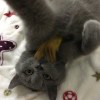 小妖怪~ZLL的头像