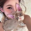 .打小就野.的头像