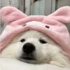 灿灿的头像