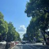 、花季╭ァ記憶的头像