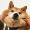 842692809的头像