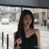 一只小松鼠的头像