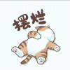书友346732210的头像