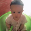 书友926368276的头像