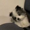 谎伴的头像