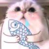 九命紫林猫的头像