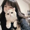 夜舞的头像
