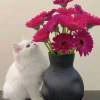 “闷葫芦儿”的头像