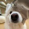 书友763330531的头像