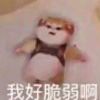梦毁千百次゛的头像