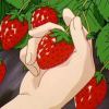 Delicious的头像