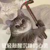 空忆星辰的头像