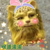 学习最重要的头像