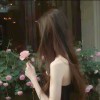 书友491326652的头像