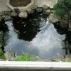 让人忧伤的季节的头像