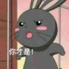 猜猜酱的头像